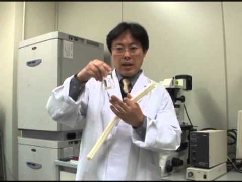 生命工学科 バイオマテリアル研究室