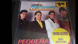 Los Temerarios - Volveré de mi viaje (audio HQ HD)