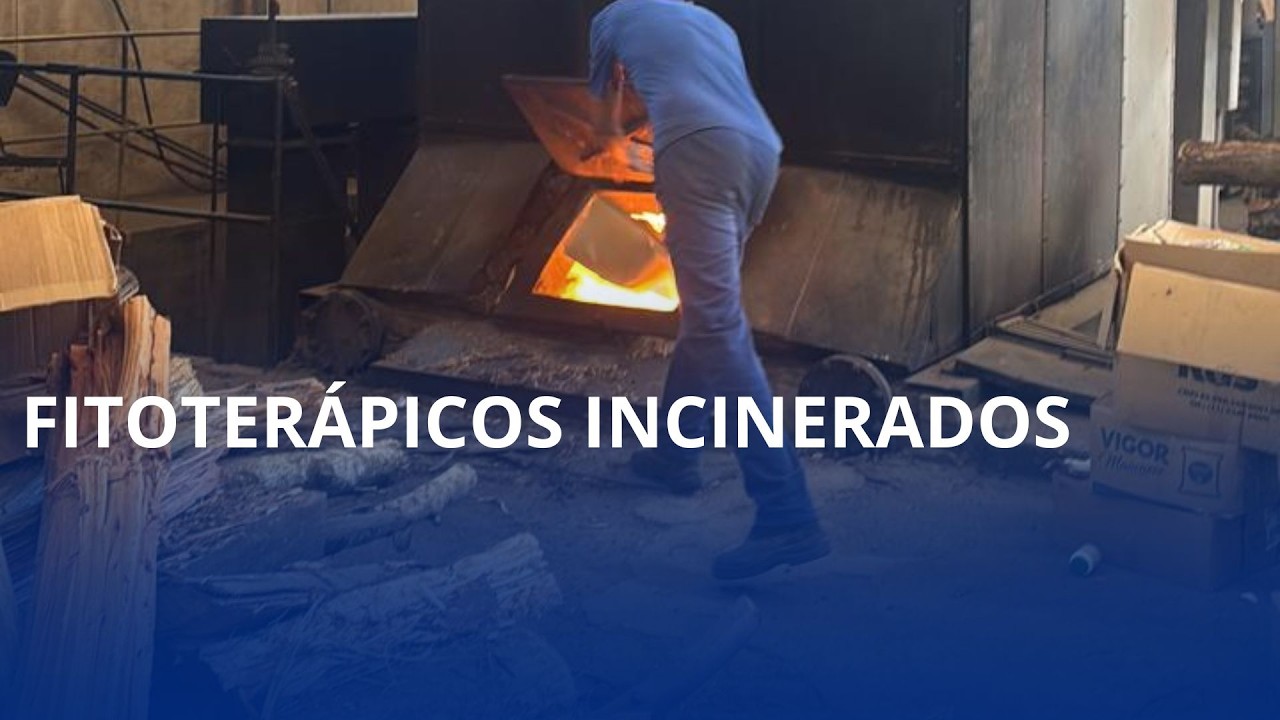 Fitoterápicos incinerados. Polícia elimina produtos apreendidos em 2023