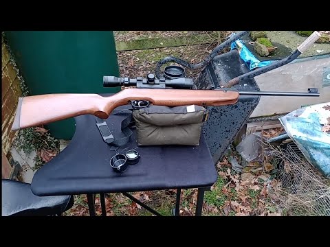 NV083 Weihrauch HW99S Review & Pellet Testing. Plus bonus review.