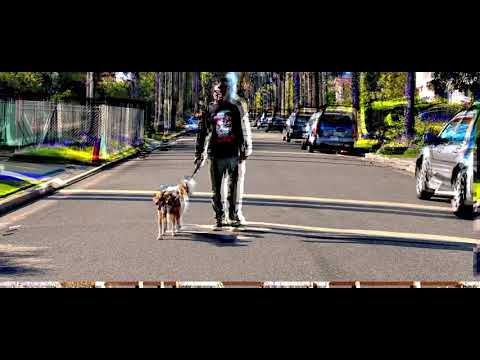 Chind man ft dog janja