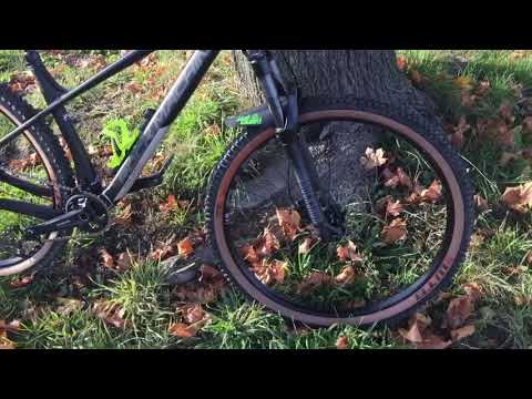 Rock Machine Blizz 50-29 2021