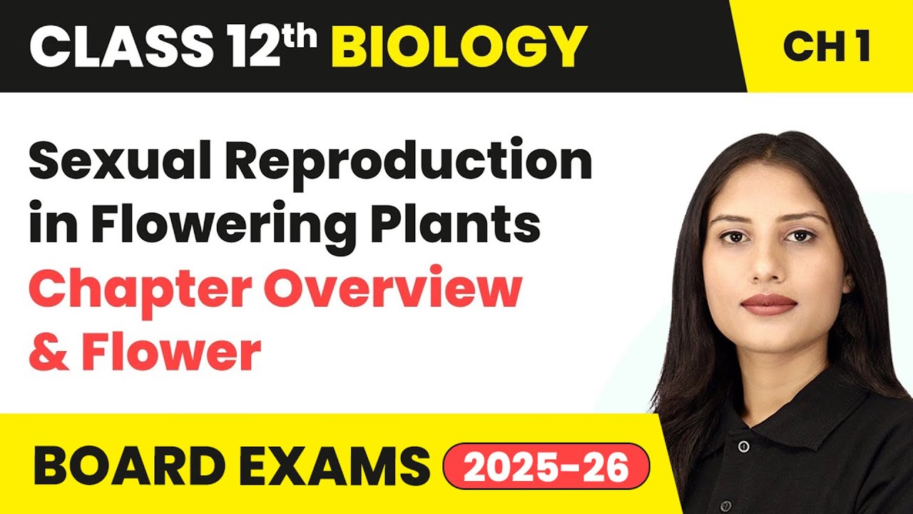 Sexual Reproduction in Flowering Plants - Chapter Overview & Flower | Class 12 Biology Chapter 1