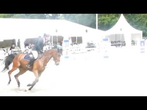 Numero Uno x Limbus Wallach geb.2012