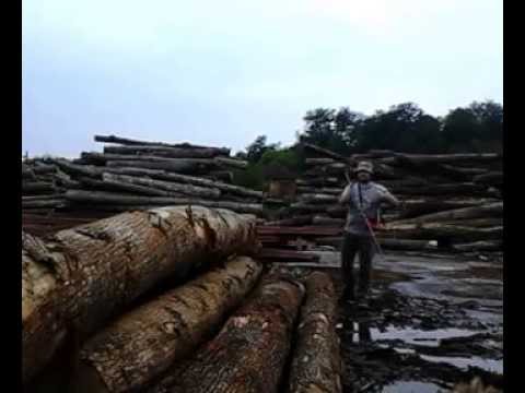 Masurarea busteanului