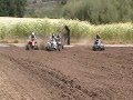 Banshee Mx 