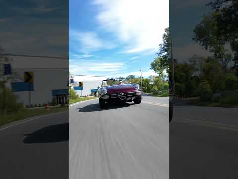 1972 Alfa Romeo Spider-R by Alfaholics