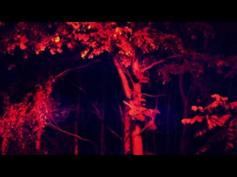 Fuminori Kagajo - The Tropics [RU002V]