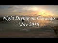Night Diving on Curacao, Nachttauchen, Nachttauchgang, Muräne, Kofferfisch, Tarpun, Waterside Apartments & Dive, Niederländische Antillen, Curaçao