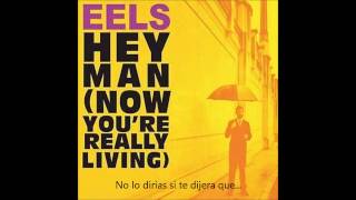 Eels - Hey Man (Subtitulado Español)