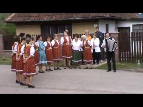 Pávička FS Roňva Slanské Nové Mesto 2014