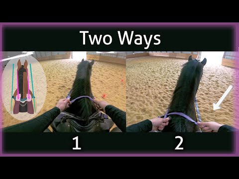 YouTube video about: How to measure horse reins?