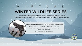 Impacts of Lead Hunting Ammunition on Wildlife