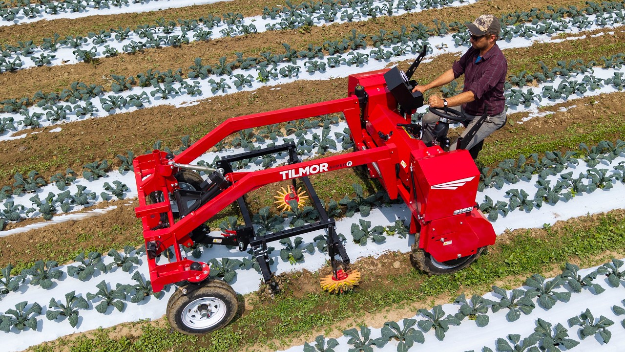 The Best Method For Weeding Edge of Plastic