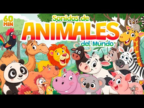 🦊 Sonidos de Animales del Mundo 🦁 ¿Qué animal suena así? 🐷 Jugamos con Adivinanzas 🐮 y Canciones 🦨