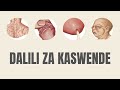 ATTENTIION Dalili Za Kaswende Na Tiba Yake Dalili Kwa Picha