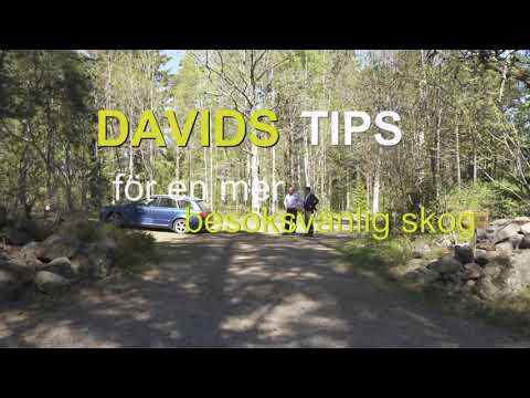 Ordna parkering: Davids tips 5 för en mer besöksvänlig skog