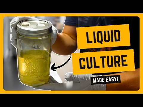 How to Make Liquid Culture for Mushroom Cultivation