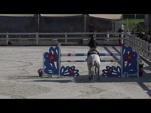 ST* (135 cm) – Chuchle Arena Praha – 10. 10. 2021