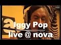 Iggy Pop - Miss Argentina • Live @ Nova