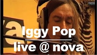 Iggy Pop - Miss Argentina • Live @ Nova