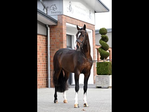 "Füchtels Exupéry" von Escamillo - Donnerschwee