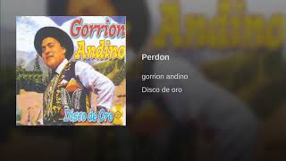 Perdon