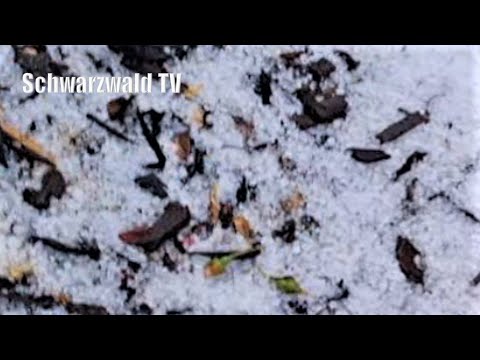 🚨⚡⛈️ Unwetterlage am 29.06.2021 in Südbaden: Hagelgewitter und Starkregen sorgen für Notrufe