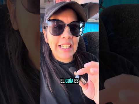 Petroglifos Parque Nacional Talampaya, La Rioja Día 82 de 100 viajando sola por Argentina 🇦🇷