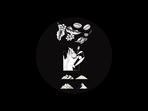 ort.z - Paleta De Colores