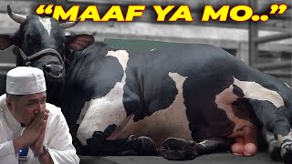 Download lagu UNTUK TERAKHIR KALINYA BISA SEPERTI INI :'( mp3 Download lagu UNTUK TERAKHIR KALINYA BISA SEPERTI INI :'( mp3