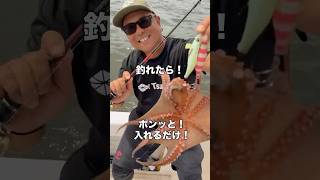 タコが逃げないスカリ！