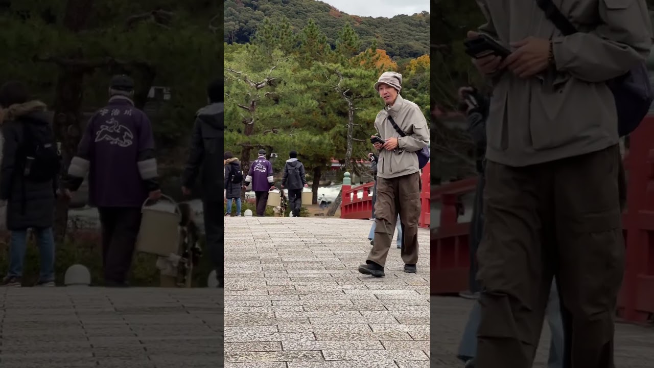 #travel #nature #kyoto