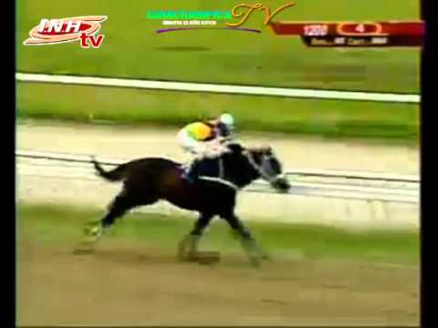 LA RINCONADA 4 CARRERA DOMINGO 30 DE NOVIEMBRE DEL 2014