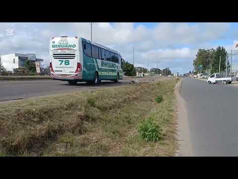 Gianatassio RUJE 🔥 El lado más intenso de Solymar.
