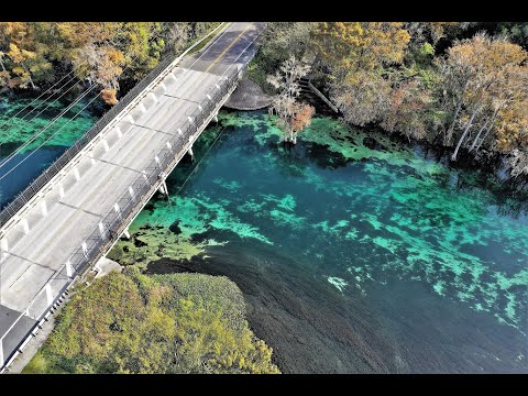 Rainbow River 4K Droning & Snorkeling Kayaking  Paddle Boarding with Gators & Otters in Dunnellon FL