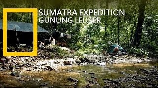 preview picture of video 'Jungle Trekking Sumatra | Jungle Expedition in Gunung Leuser | Rainforest'