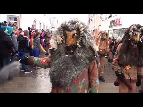 Large ANR Ring Meeting in Weingarten 2014