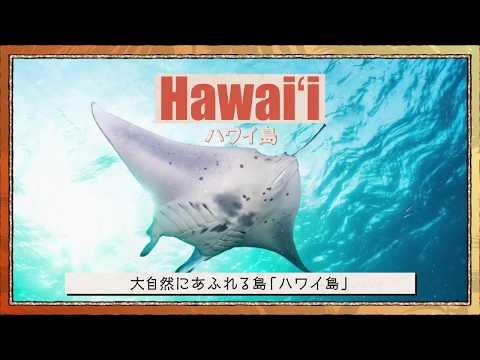 Você conhece a Ilha do Havaí? Apresentando os encantos da Ilha do Havaí pelo Hawaii Tourism Board