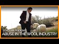 Joaquin Phoenix on Abuse in the Wool Industry and Cruelty-Free Options