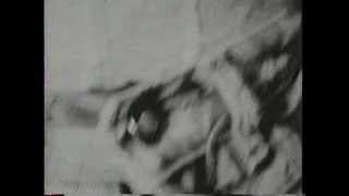 "Feel The Way That I Do" by Shoes