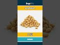 soybean - 大豆 video thumbnail