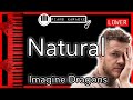 Natural LOWER 3 Imagine Dragons Piano Karaoke Instrumental