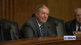 Sen. Lindsey Graham: &quot;This is the most screwed up decision I&#39;ve seen since I have been in Congress.&quot;