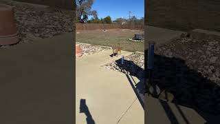 Video preview image #1 Chiweenie Puppy For Sale in San Antonio, TX, USA