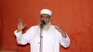 تفسير سورة العاديات | الشيخ شوقي عبد الصادق image