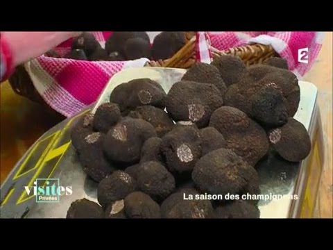 download lagu mp3 mp4 Truffe Noire, download lagu Truffe Noire gratis, unduh video klip Truffe Noire