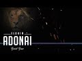 Elohim Adonai - David Dam (lyric video)