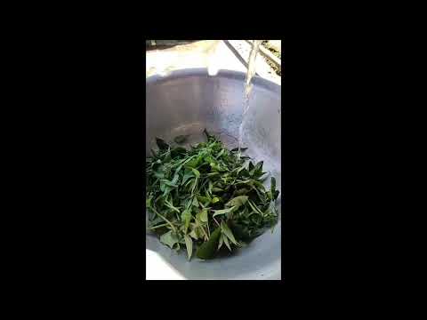 Galo Cuisines||Oyik with smoked meat..