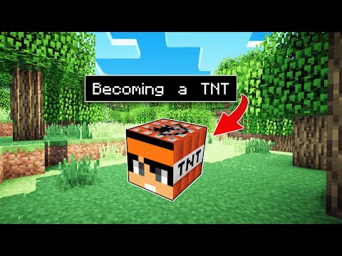 Ultimate Minecraft PE TNT Transformation!
